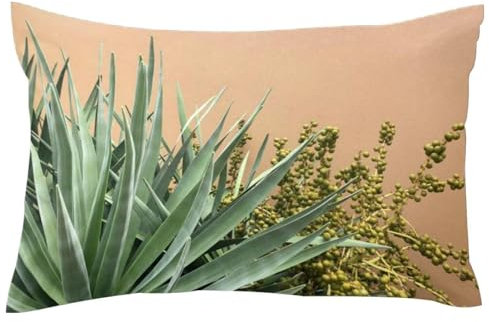 Agave Plant weicher Samt-Kissenbezug, Kissenbezug, Überwurf, Kissenbezüge, Standardgröße, 50,8 x 66 cm (Einsätze nicht im Lieferumfang enthalten)