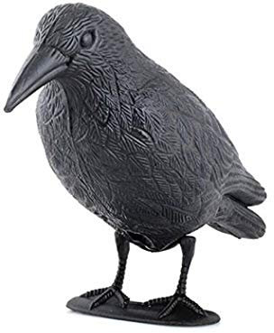 hillfield Schwarzer Rabe fliegend oder sitzend Kunststoff Taubenschreck Taubenabwehr Vogelschreck (1 Rabe stehend)