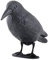 hillfield Schwarzer Rabe fliegend oder sitzend Kunststoff Taubenschreck Taubenabwehr Vogelschreck (1 Rabe stehend)