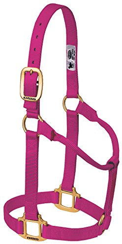 Weaver Leather Original Nicht verstellbares Halfter (Himbeere, Avarage Horse/Yearling Draft)