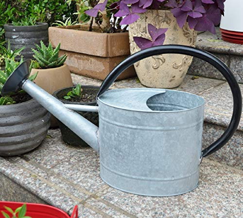HORTICAN 5-Liter-Gießkanne aus verzinktem Stahl, dekorative weiße Gießkanne im Bauernhausstil, Metallgießkanne, Abnehmbarer Rosettendiffusor, perfekt für den Innen- und Außenbereich