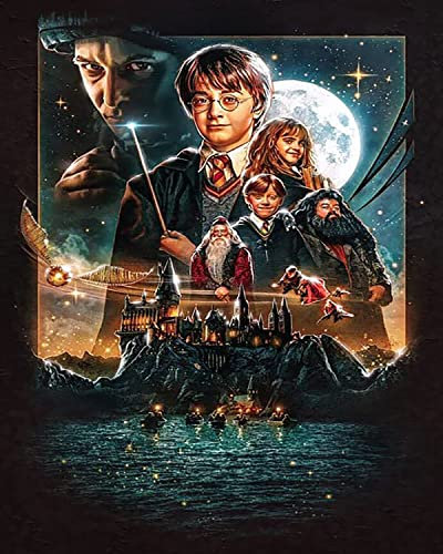 Diamant-Malerei-Set für Erwachsene, 5D-Harry-Potter-Diamant-Kunst, Kreuzstich-Set für Anfänger mit Muster, Heimdekoration, 30,5 x 40,6 cm