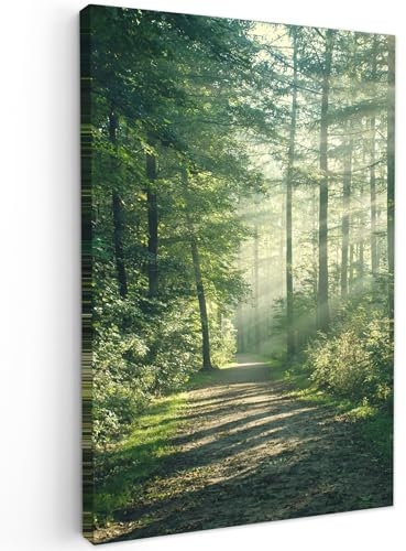 MuchoWow© Wandbilder 40x60 cm Schlafzimmer Home Deko Wohnung Bild Wohnzimmer Fotoleinwand Wand Bilder Leinwand Wall Decor Wald - Weg - Sonne - Bäume - Grün - Natur