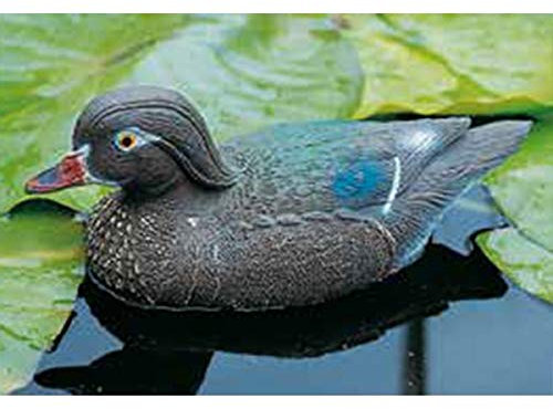 ALTADEX Weibliche Carolina-Ente