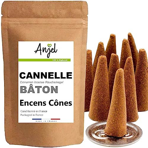 10 Cônes Encens Senteur Cannelle - Encens Cône 100% Naturel Relaxation Méditation Purification + Brûleur Porte Encens Offert - NCA