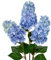 Briful 3er Set Künstliche Hortensien Kunstblumen Wie Echt Frühlingsblumen Rispenhortensie, 73CM Hellblau Dekoblumen Kunstzweige für Blumengesteck Home Resto Frühling Dekor
