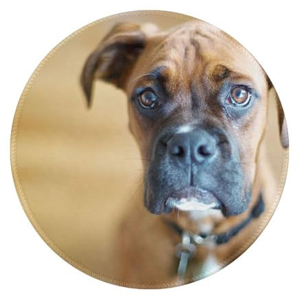Tcoay 8 in Round Mouse Pad, Non-Slip Rubber Base Mouse Pad,Waterproof Mouse Mat,Boxer Dogs Puppy Pets Dogs
