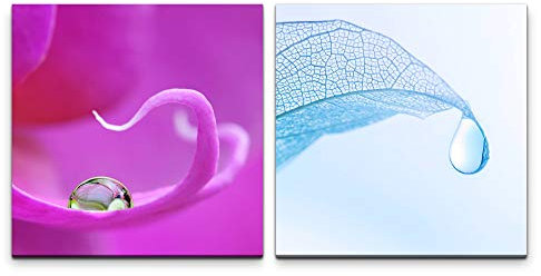 Paul Sinus Art Wandbild 2x60x60cm Orchidee Blüte Wasserperle Wassertropfen blaues Blatt Fotokunst Makrofotografie