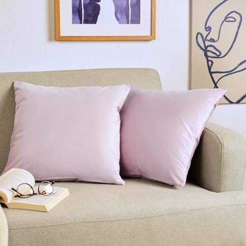 Blumtal Set di 2 Federe Cuscini Divano 40x40 cm in Velluto, con Chiusura Lampo Invisibile, Eleganti Copricuscini Divano in Morbido Velluto,Taglia 40 x 40, Rosa Antico