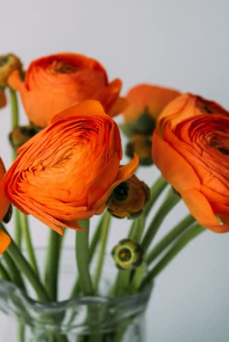 Vase of Orange Flowers Coffee Table Book