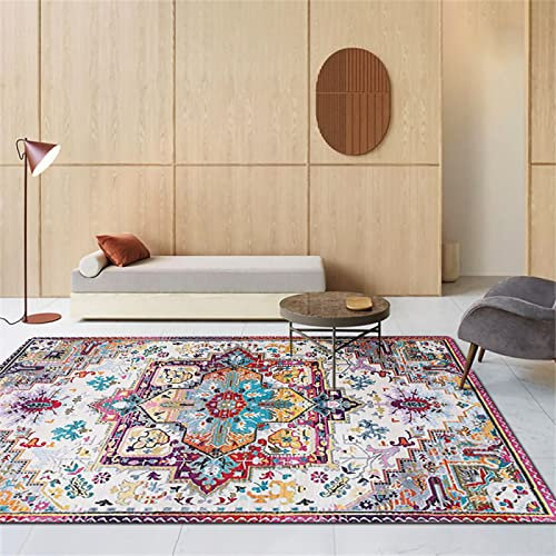 RUGMRZ Tapis Porte D'Entrée Exterieur 70 x 200 cm D Rose Sol D'étérosebleumotif Géométriquecontemporainlavable Sejour