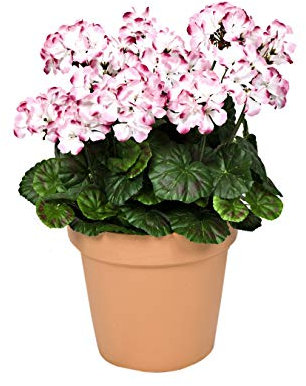 GreenBrokers - Geranios Artificiales en Maceta de Color Terracota (45 cm), Color Rosa y Blanco