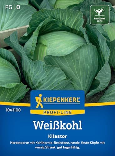 Kiepenkerl Weißkohlsamen Kilastor 1041100, Gemüsesaat