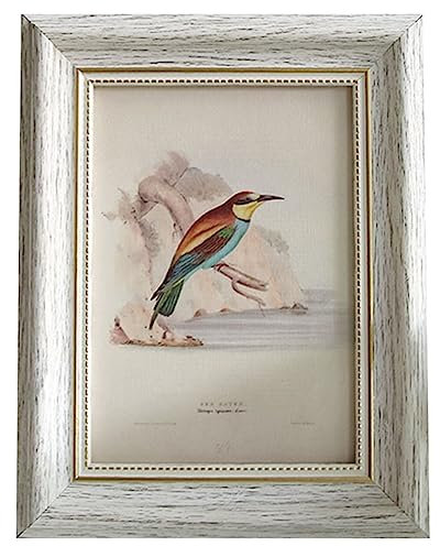 XQSSB Bilderrahmen Fotorahmen Weiß Eine A4 Wand 21 × 29,7cm