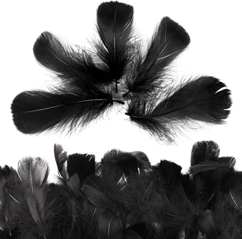 SUNRIZ 600 Stück Schwarze Federn 8-12cm, Natürliche Bastelfedern für DIY Handwerk, Festivals, Teen & Adult