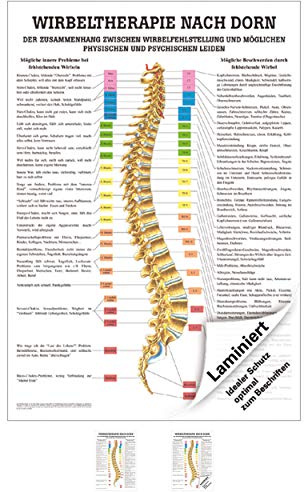 Sport-Tec Dorntherapie Mini-Poster Anatomie 34x24 cm medizinische Lehrmittel