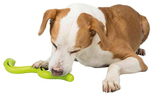 TRIXIE robuste SNACK-SNAKE, TPR, 42 CM, GRÜN, Beschäftigung durch befüllen von Snacks, Kauartikel und Cremes - 34949