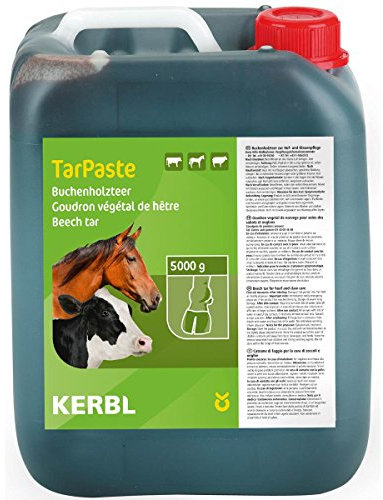 Catrame di faggio - Pasta,5 kg - KRB-16350