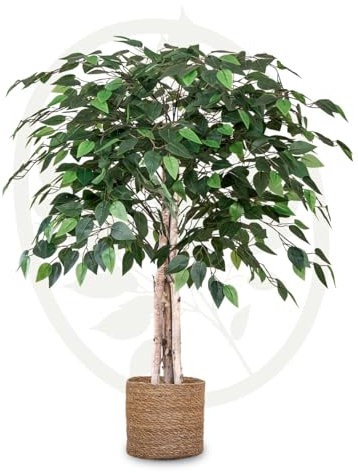 Maia Shop Plantas Artificiales Decorativas - Ficus Artificial 105 cm con Tronco Natural, Planta Artificial Grande, Decoración Hogar, Arbol Artificial