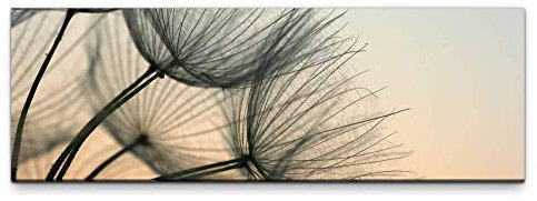 Eau Zone Leinwandbild auf Echtholzrahmen Pusteblumen 120x40cm