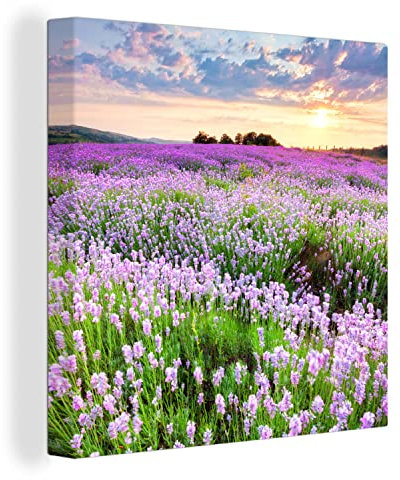 MuchoWow Leinwand Bilder, Einzigartige Wanddeko mit Rahmen, Blumen - Lavendel - Lila - Himmel - Sonnenuntergang - Wiese - Natur, Wandbilder Wohnzimmer, Deko Schlafzimmer 50x50 cm