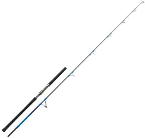 Hearty Rise Monster Game Prestige 2,45m 50-160g Rute - Meeresrute, Angelrute zum Meeresangeln, Jigrute für Meeresfische