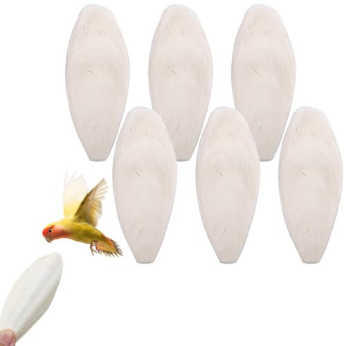 WeddHuis 6 Pezzi Osso di Seppia Premium per Tartarughe, Uccelli, Rettili, Draghi Barbuti e Lumache, Fonte Naturale di Calcio e Minerali (10-12cm)