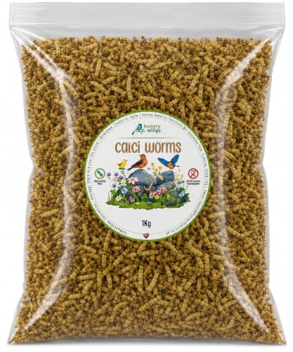 Wild Bird Food (1kg, Calci Worms)