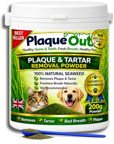 PLAQUE OUT Olla de 200 g, removedor de placa de sarro para perros y gatos, 100% natural y orgánico, cuidado de las encías de los dientes del mal aliento para mascotas. Maceta más grande de 200 g, no