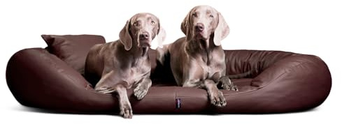 tierlando® Orthopädisches Hundebett Sammy Easy CLEAN mit viscoelastischer Matratze und hohem Rand aus Kunstleder für gelenkschonenden Schlaf und höchsten Komfort Größe: 140x105cm | Farbe: 01 Braun