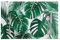 Pizding Tropical Palm Leaf Print Placemats, Stain Resistant Anti-Skid Washable PVC Table Mats Kitchen Place Mats, Set of 4 for Dinner Weddings Brunches
