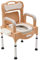 Toilettenstuhl, Hygienischer Toilettenstuhl WC-Stuhl Nachtstuhl für Senioren, Herausnehmbarer Eimer Toilettenhilfe mit Deckel