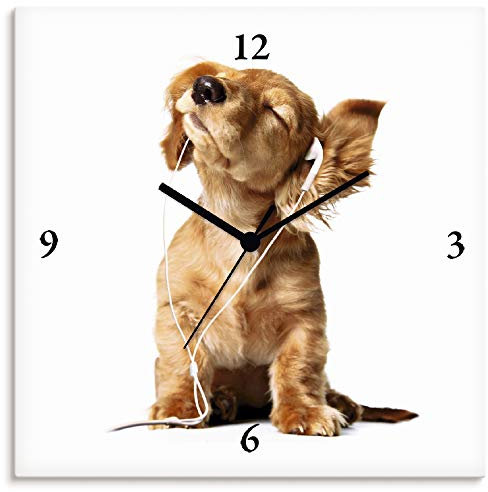 ARTLAND Wanddeko Wanduhr ohne Tickgeräusche Leinwand Funkuhr 30x30 cm Quadratisch Lautlos Tiere Hund Welpe Musik Lustig Hipster Ausgefallen T5QE