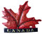 3D Kanada Kühlschrank Magnet berühmten Tourist SOUVERNIR Aufkleber, Kanada Kühlschrank Magnet Maple Leaf Home und Küche Dekoration