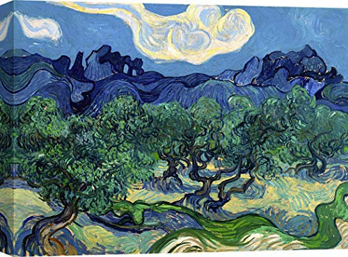 ART PRINT CAFE' – Kunstdruck auf Leinwand - Vincent Van Gogh, Olivenbäume – 80x60 cm