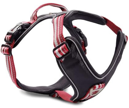 Wolters Geschirr Active Pro, Größe:55-65 cm, Farbe:rot/schwarz
