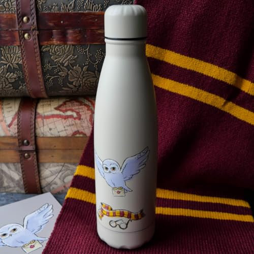 Bouteille isotherme 500ml - Hedwige