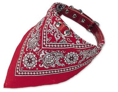 Nobby Halsband mit Tuch, rot L: 55 cm, 1 Stück
