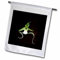 3dRose FL_53293_1 Gartenflagge, seltene exotische Geister-Orchidee, 30,5 x 45,7 cm
