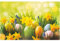 matches21 Frühlingshaftes Tischset Platzset Motiv abwaschbar Ostereier Osterglocken Blumenwiese bunt 1 STK 43,5x28,5 cm