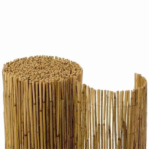 Nova Forma Canisse en Roseau Naturel CANYA – Brise Vue en Fibres Naturelles Robustes – Pare Vue pour terrasse, Balcon, Jardin, etc. – 160 x 600 cm