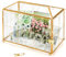 Okllen Glas Kartenbox mit Schlitz, Große Gold Klar Kartenbox für Hochzeitsempfänge, Dekorative Aufbewahrungsbox mit Schloss für Babyparty, Geburtstagsfeier, Brautdusche