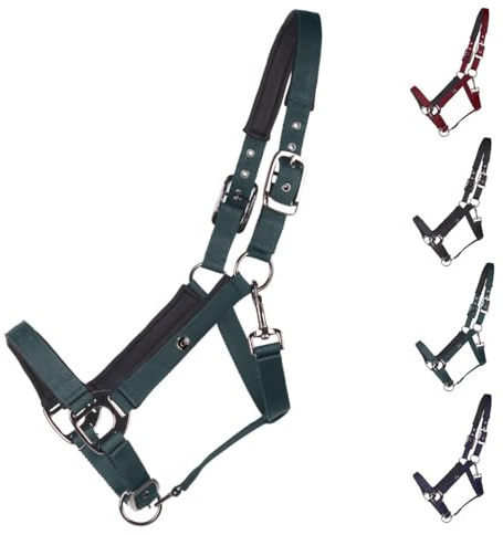 NETPROSHOP Deluxe Halfter gepolstert an Kopfstück, Backen- und Nasenriemen 2-Fach verstellbar Pony Cob Full XLFull, Groesse:Full, Farbe:Dunkelgruen