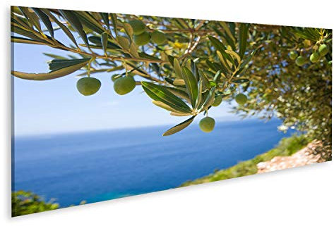 islandburner, Bild auf Leinwand ein Olivenbaum auf dem Meeresgrund Wandbild Leinwandbild Kunstdruck Poster 120x40cm - Panorama