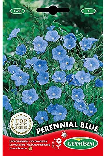 Germisem Graines Lin vivace bleu PERENNIAL BLUE