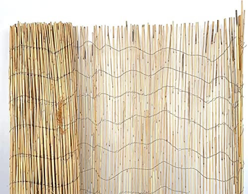 Mugar- Bambú Fino Natural en Rollos de 3 y 5 Metros - Vallas de Ocultación Naturales para Jardín- Varias Alturas (2 x 5 metros)