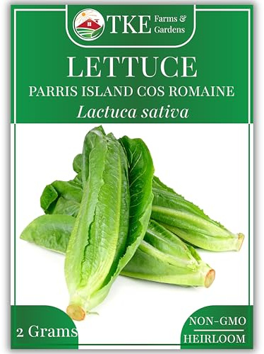 TKE Farms & Gardens - Parris Island Cos Romaine Lettuce Seeds, 2000+ Non-GMO, Heirloom Seeds, Enjoy Garden-to-Table Salad Greens, Includes Easy to Follow Instructions (1 Pack)