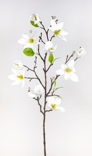 Seidenblumen Roß Magnolienzweig 82cm weiß GA Kunstblumen künstliche Blumen Magnolie Magnolia (Weiß)