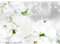 Runa Art Papier peint intissé Mural lys fleurs Moderne Toison Salon Chambre à Coucherr Salle - Tableaux Muraux Tapisserie Photo - Noir et blanc 9423010c