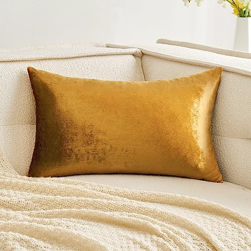 MIULEE 1 Stück Samt Kissenbezug Kissenhülle Dekorative Sofakissen Dekokissen Deko Couchkissen Zierkissen Bezug mit Verstecktem Reißverschluss für Sofa Schlafzimmer 30x50 cm Champagner Golden